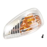 Blinkerkappe rechts gelbe Kappe im Spieg