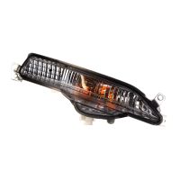 Blinkerkappe rechts IVECO OE 5802312349