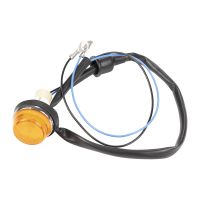 Blinkleuchte seitlich