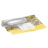 Blinker seitlich links