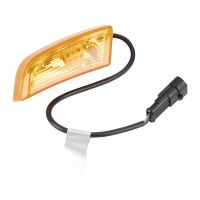 Seitenblinker rechts