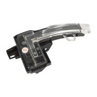 Seitenblinker vorne links