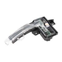 Seitenblinker vorne rechts