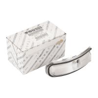 Seitenblinker im Spiegel links