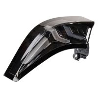 Heckleuchte links außen