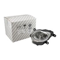 Fernscheinwerfer Tagfahrlicht links Original