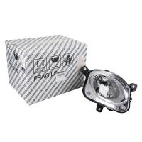 Fernscheinwefer rechts