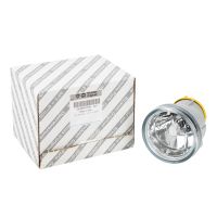 Nebelscheinwerfer vorne