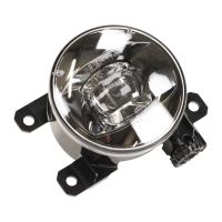 Nebelscheinwerfer links oder rechts