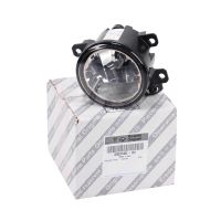 Nebelscheinwerfer vorne rechts oder links