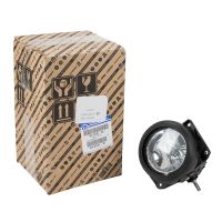 Nebelscheinwerfer rechts oder links