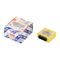 Steuergerät Wegfahrsperre