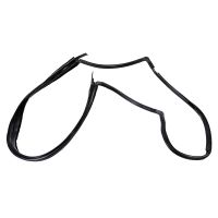 Frontscheibendichtung