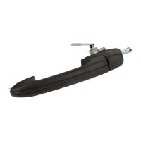 Türgriff hinten links