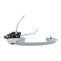 Türgriff vorne rechts