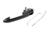 Türgriff vorne links