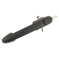 Türgriff hinten links