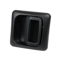 Türgriff vorne rechts / links