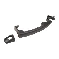 Türgriff vorne links