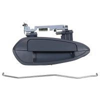 Türgriff vorne rechts