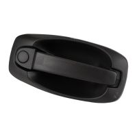 Türgriff Vorne / Hinten