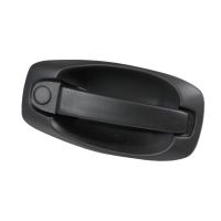 Türgriff vorne rechts / Schiebetür rechts