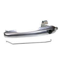 Türgriff vorne links Chrom