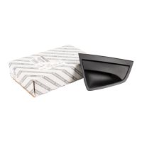 Türgriff hinten rechts Plastik