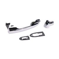 Türgriff Chrom links hinten