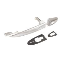 Türgriff Alu-Optik vorne links