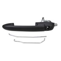 Türgriff vorne links