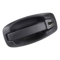 Türgriff vorne links