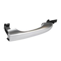 Türgriff vorne / hinten - rechts / links