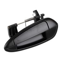 Türgriff hinten links