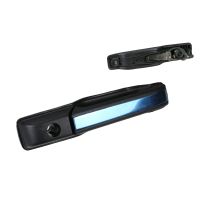 Türgriff vorne links