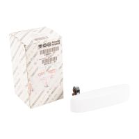 Türgriff außen rechts