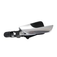 Türgriff hinten innen links chrom