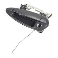 Türgriff Vordertür links