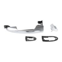 Türgriff Vordertür links