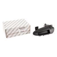 Türgriff links hinten