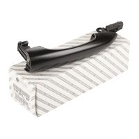 Türgriff hinten rechts