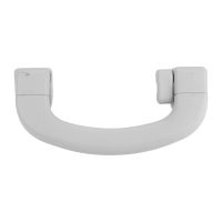 Handgriff oben hinten links innen