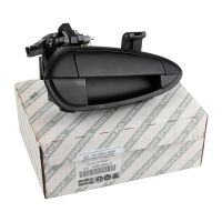 Türgriff hinten rechts