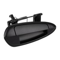 Türgriff hinten rechts