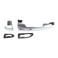 Türgriff vorne rechts