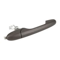 Türgriff vorne rechts