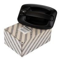 Türgriff vorne links