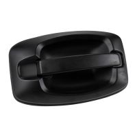 Türgriff vorne rechts