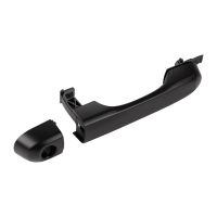 Türgriff vorne links außen