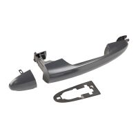 Türgriff vorne rechts